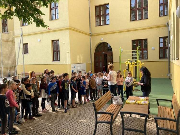 279557597 5446793582000348 330205931620186338 n