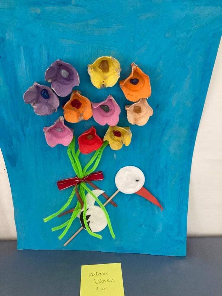 280558484 5446797478666625 1827534133656269523 n