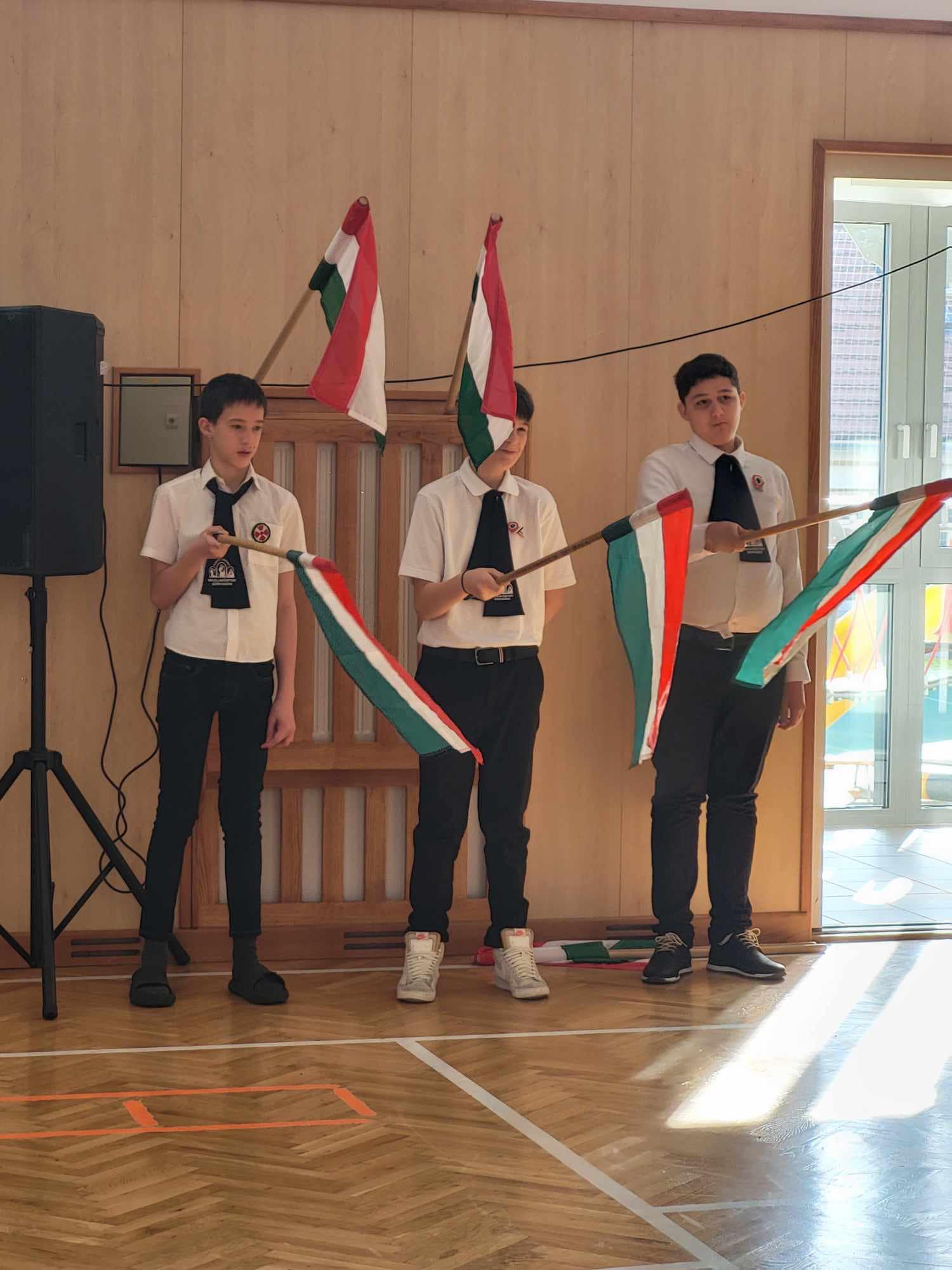 432270575 964190231895269 8416500631648719121 n