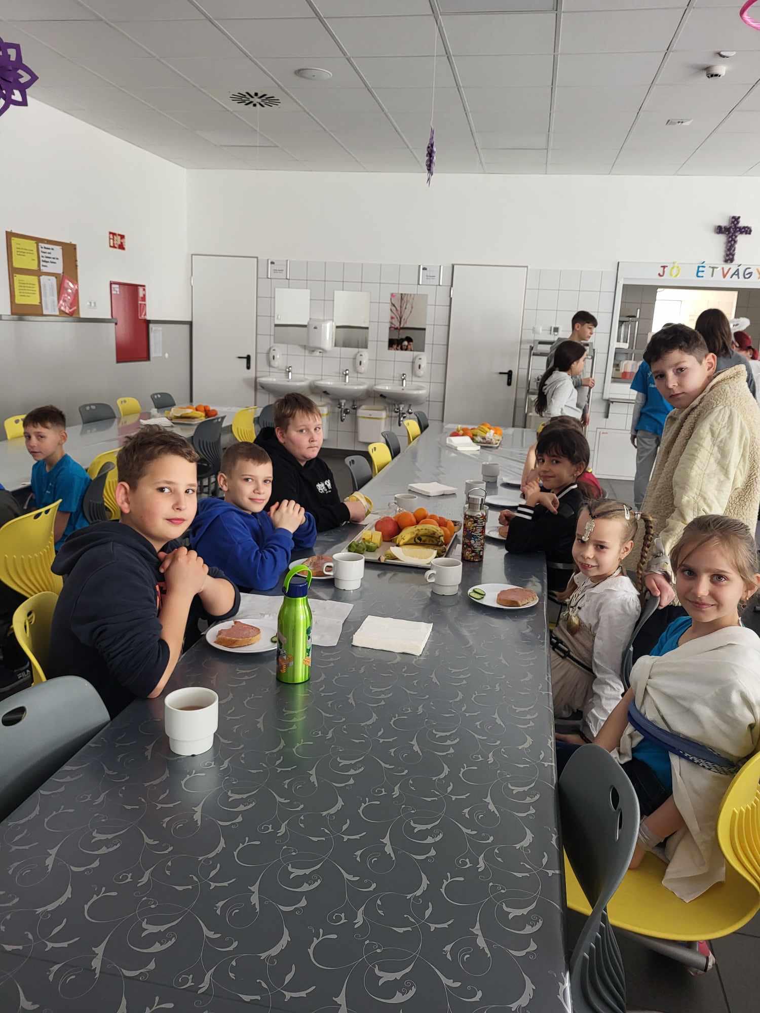 433527687 967551898225769 5049236436098595989 n